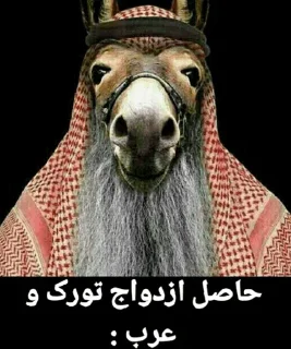 Video sticker 🇸🇦 Tiger