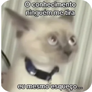 Telegram sticker 😐 João-liso o rouba Stickers