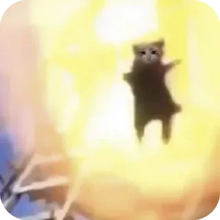Video sticker 🐱 @editbazx