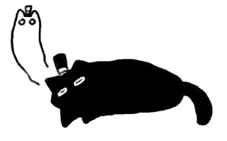 Video sticker ⭐ 克莱恩礼帽猫 @furrystickercn