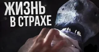 Video sticker 😧 Ответочки