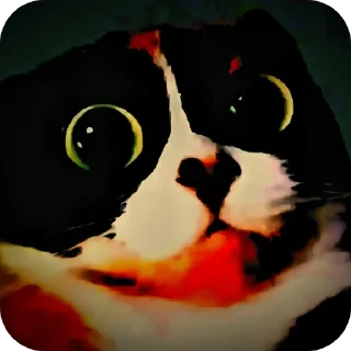 Telegram sticker 🐱 Гаврик стикеры окак