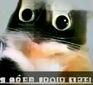 Sticker 🤩 Гаврик стикеры окак