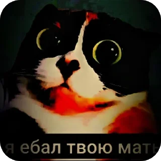 Telegram sticker 🖼 Гаврик стикеры окак