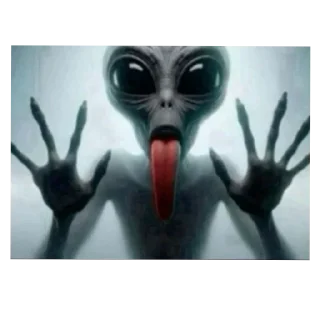 Телеграм стикер 👽 рандомные приколы :: @fStikBot