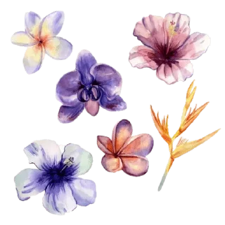 Sticker 🌸 @wisdom_droplets Flowers — @stckrRobot