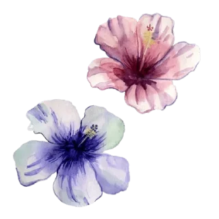 Video sticker 🌸 @wisdom_droplets Flowers — @stckrRobot
