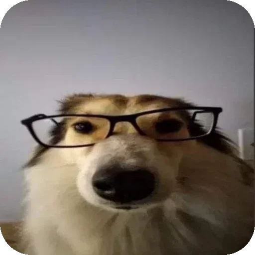 Sticker 🐶 「 AJ 」's bullshit