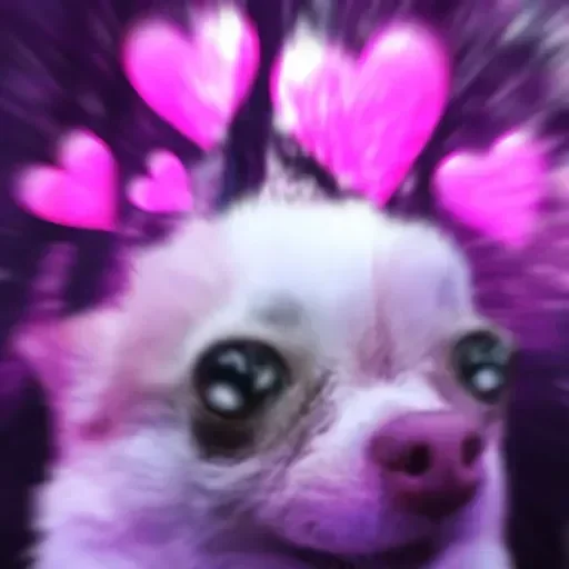 Telegram sticker 🥺 Nathu :: @fStikBot