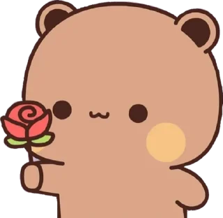 Video sticker 💐 🍩 kawaii 🍩