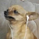 Телеграм стикер 😭 Fave