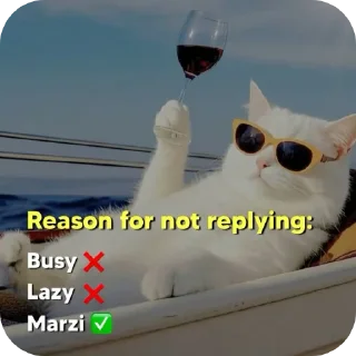 Sticker 🍽 Goli ka isticckkker set 😎💥