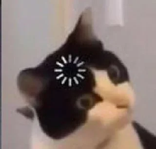 Telegram sticker 🤯 таке життя :: @fStikBot
