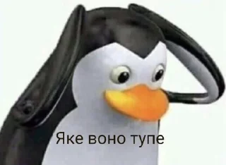 Video sticker 😦 таке життя :: @fStikBot