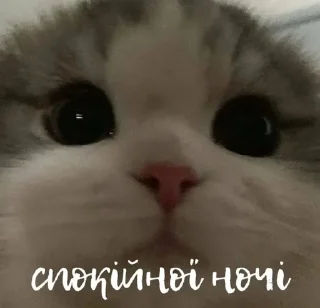 Sticker 😴 таке життя :: @fStikBot