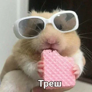 Telegram sticker 😐 таке життя :: @fStikBot
