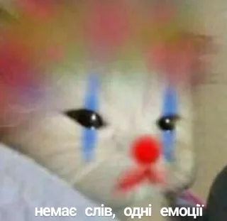Telegram sticker 🥺 таке життя :: @fStikBot