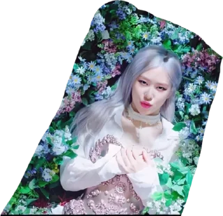 Video sticker ⚰️ Blackpink