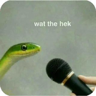 Telegram stiker 🐦 @Itsmemi2