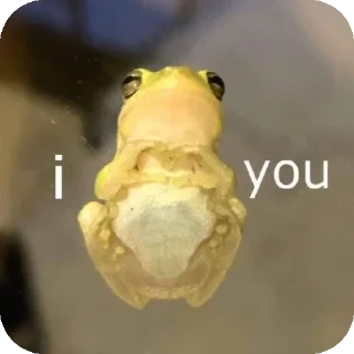 Telegram stiker 🐦 @Itsmemi2