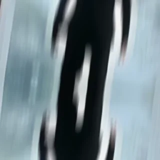 Video sticker 😈 Ꮮᴏʀᴅ 👑 ᎷﾠΛﾠƦﾠᏟﾠO 🔱's kang pack