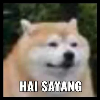 Телеграм стикер 😏 Meme nya nak pak budi
