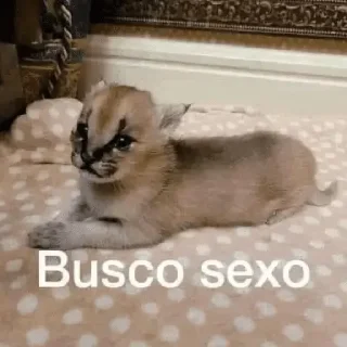 Telegram sticker 😀 Calientes hot stickers 🙊❤️‍🔥 - [U3U4Q] - soylanet.com