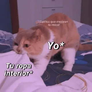 Video sticker 😀 Calientes hot stickers 🙊❤️‍🔥 - [U3U4Q] - soylanet.com
