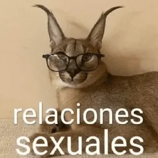 Telegram sticker 😀 Calientes hot stickers 🙊❤️‍🔥 - [U3U4Q] - soylanet.com
