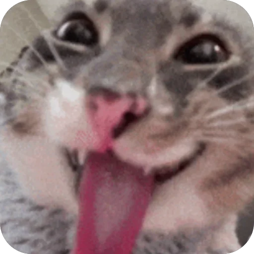 Telegram stiker 🫥 I dont even know