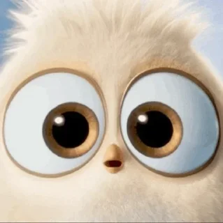Telegram sticker 💛 - ᗷY @ahMshY 𓉮 . Baby Angry Birds