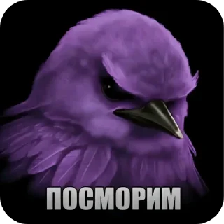 Video sticker 👍 Птицы @sodixbio