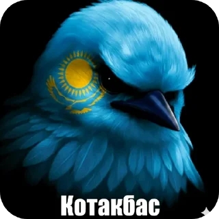 Телеграм стикер 👍 Птицы @sodixbio