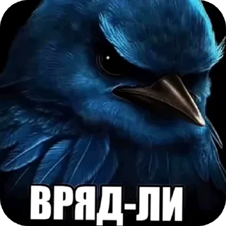 Sticker 👍 Птицы @sodixbio