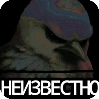 Телеграм стикер 👍 Птицы @sodixbio