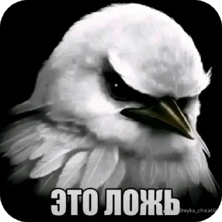 Телеграм стикер 👍 Птицы @sodixbio