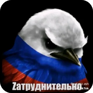 Телеграм стикер 👍 Птицы @sodixbio