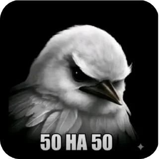 Video sticker 👍 Птицы @sodixbio