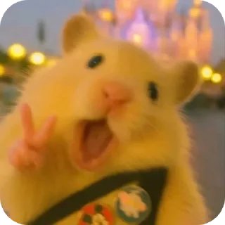 Video sticker 🎢 iба чотко