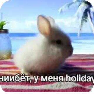 Telegram sticker 👍 iба чотко