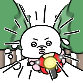 Video sticker 👍 @KakaoEmoji 복슬임다 4