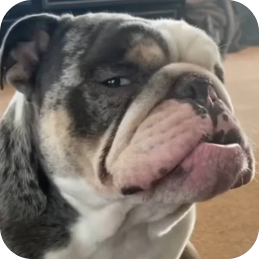 Telegram sticker 🌟 @chat_a2 JOIN MOST KNOWN