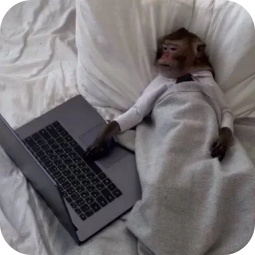 Telegram sticker 👨‍💻 @chat_a2 JOIN MOST KNOWN