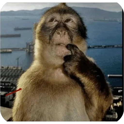 Telegram sticker 🌟 @chat_a2 JOIN MOST KNOWN