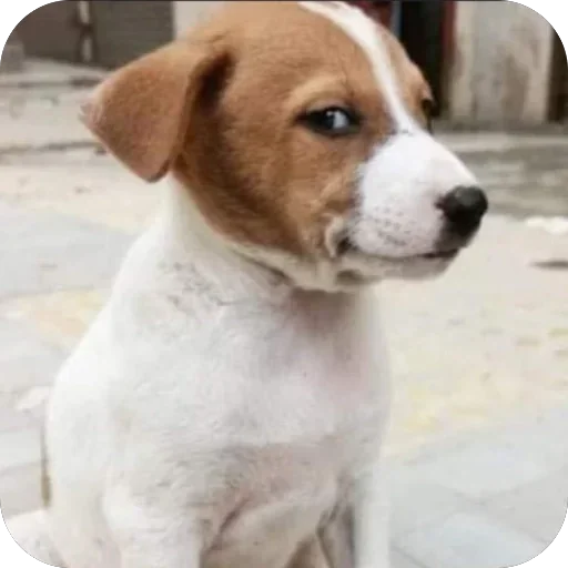 Telegram sticker 🤨 @chat_a2 JOIN MOST KNOWN