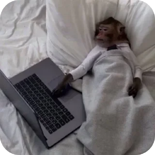 Video sticker 👨‍💻 @chat_a2 JOIN MOST KNOWN