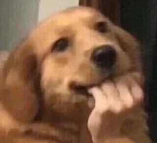 Video sticker 🤔 @chat_a2 JOIN MOST KNOWN