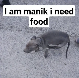 Telegram sticker 🤔 ꃅყρεƦs sᴛɪᴄ-ᴘᴀᴄᴋ (@HYPERxGROUP_BOT) 4