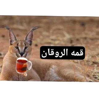 Video sticker 🐦 الصخرة🗿 @S5R_AH