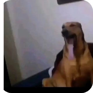 Telegram stiker 👍 الصخرة🗿 @S5R_AH